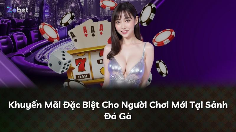 Khuyến Mãi Đặc Biệt Cho Người Chơi Mới Tại Sảnh Đá Gà