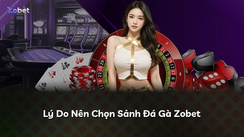 Lý Do Nên Chọn Sảnh Đá Gà Zobet