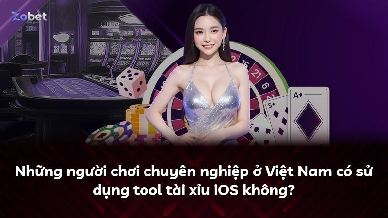 Những người chơi chuyên nghiệp ở Việt Nam có sử dụng tool tài xỉu iOS không?