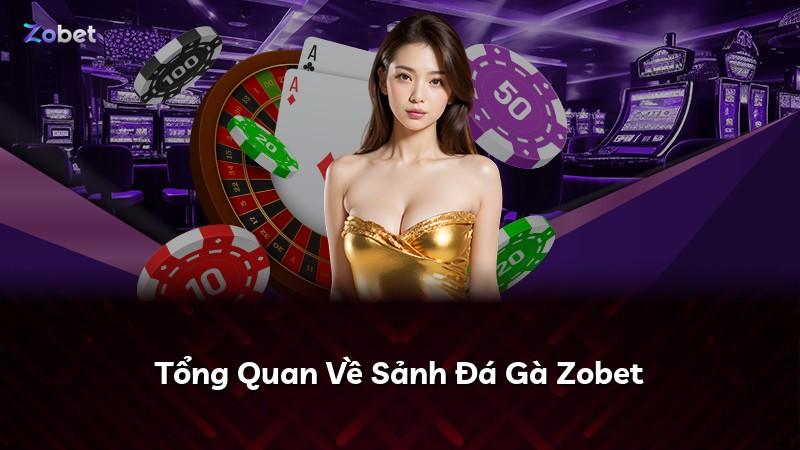 Tổng Quan Về Sảnh Đá Gà Zobet